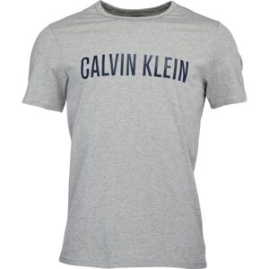 Calvin Klein S/S CREW NECK Pánské tričko, tmavě zelená, velikost S