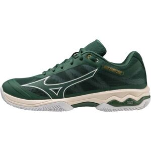 Mizuno WAVE EXCEED LIGHT CC Pánská běžecká obuv, zelená, velikost 46