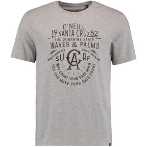 O'Neill LM WAVES & PALMS T-SHIRT šedá S - Pánské tričko