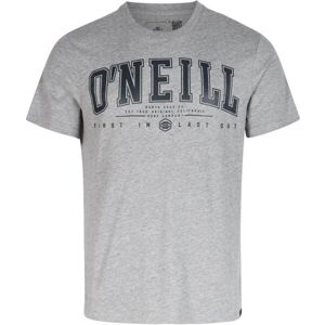 O'Neill STATE MUIR T-SHIRT Pánské tričko, šedá, velikost XS