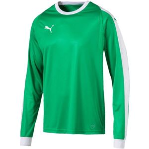 Puma LIGA GK JERSEY Pánské triko, zelená, velikost L